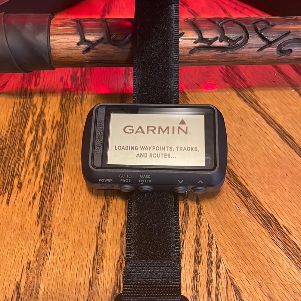 Garmin Foretrex 601